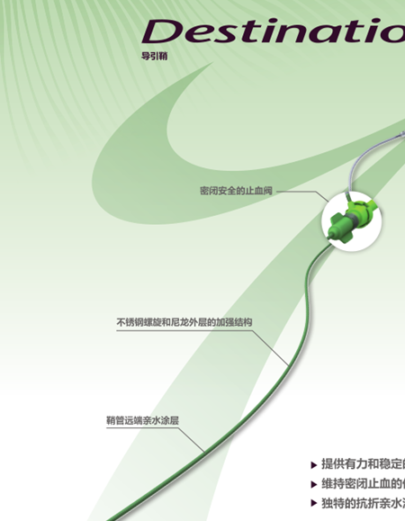 颈动脉导引鞘Carotid Guiding Sheath