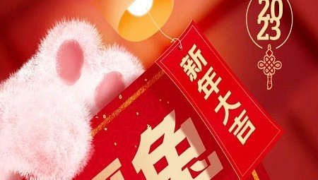 福兔蹦跳迎新年|上药控股（湖南）祝大家新年快乐，大展宏兔