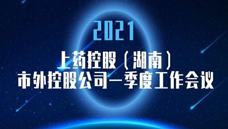 融合发展 蓄力前行 ——上药控股（湖南）市外控股公司一季度工作会议