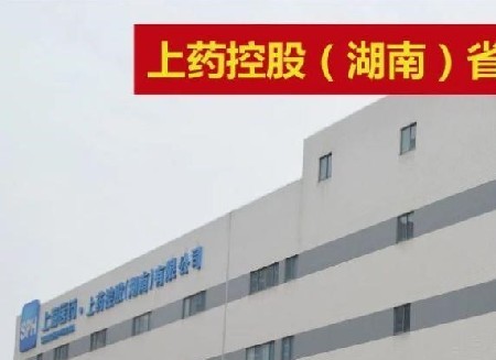 助力业务高质量发展 上药湖南省平台2024年信息年度会议